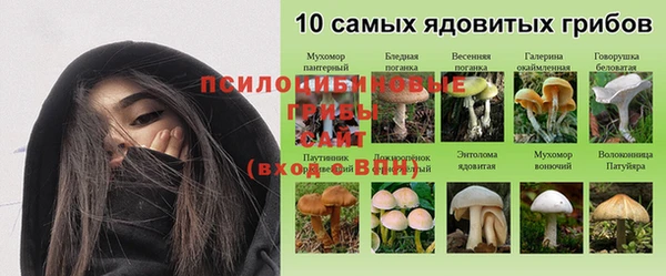 экстази Липки