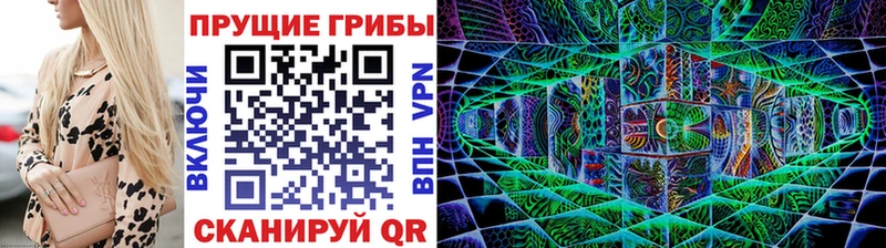 купить закладку  Пушкино  Псилоцибиновые грибы MAGIC MUSHROOMS 